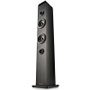NGS Sky Charm Pro Torre de Sonido Negra 80W